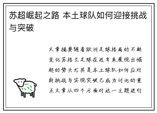苏超崛起之路 本土球队如何迎接挑战与突破